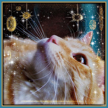 Merry and Bright - Free image #322563